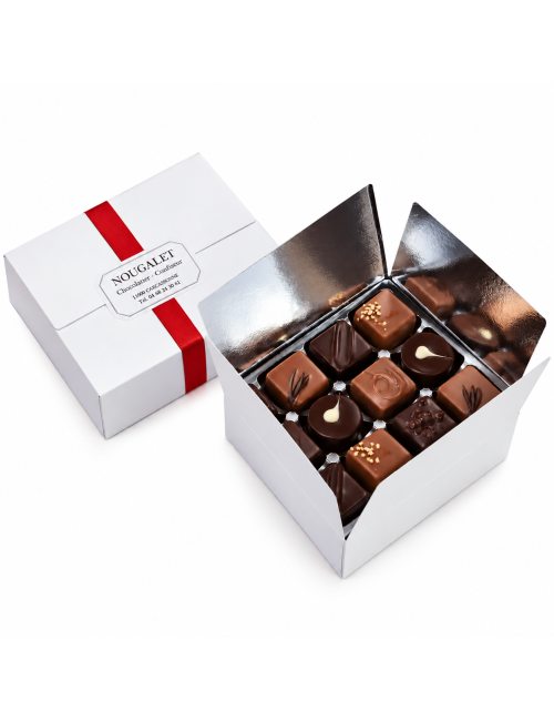 Ballotin chocolats pralinés assortis