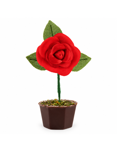 Pot de Rose chocolaté