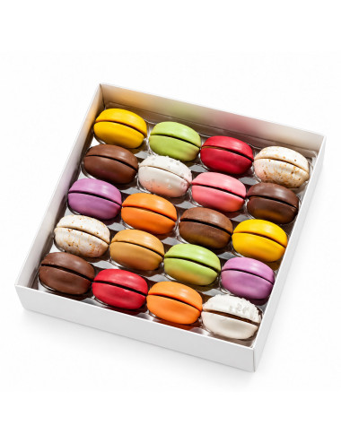 20 Macaronias